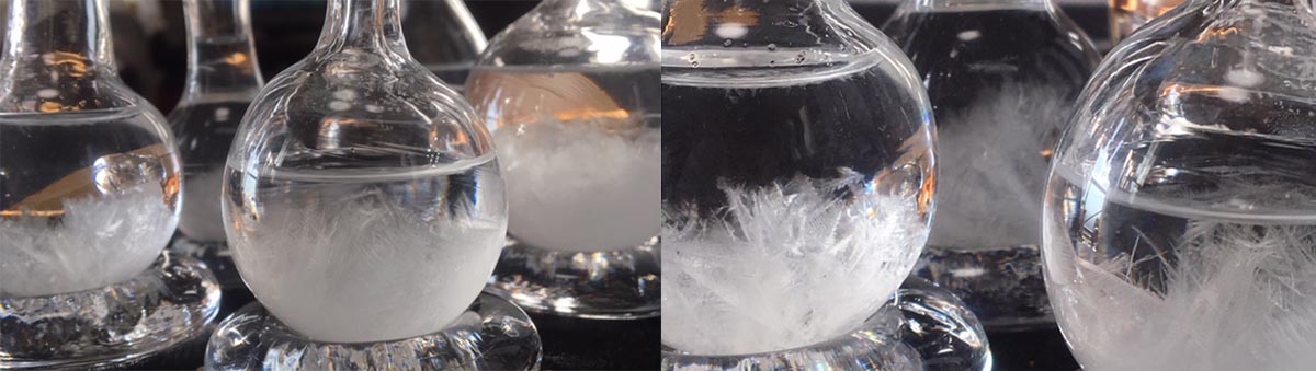 冬のガラス [ オカベマキコ ] ＝ winter laboratory -冬の研究所
